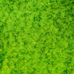 Фото товара 'Икра Масага "Tamaki" зеленая 500 гр.'