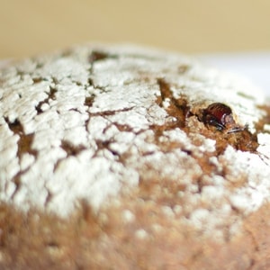 Фото товара 'Карельский хлеб с клюквой'